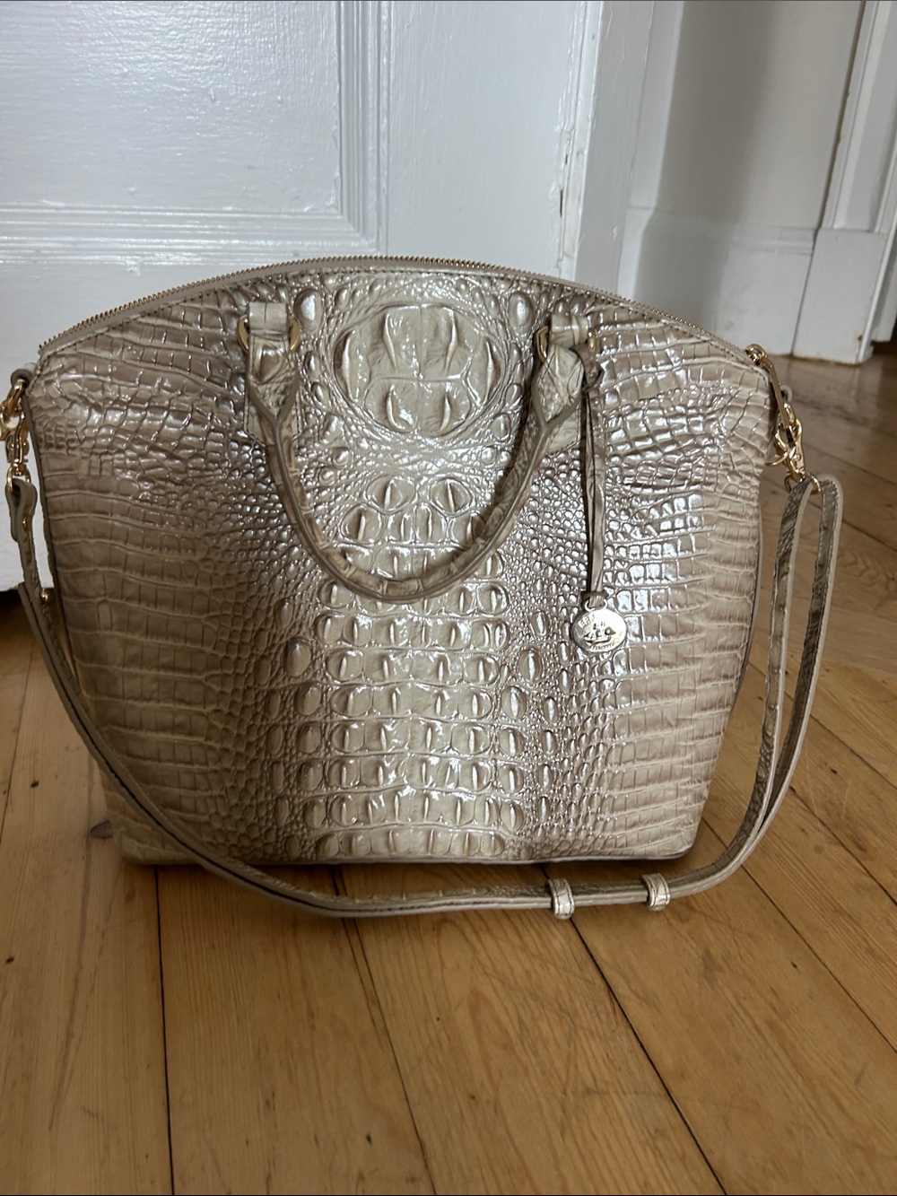 Croc-Embossed Satchel Bag in Metallic Beige-Cream